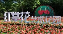 东平森林公园房车露营地8