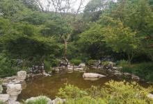 鹿鸣谷14