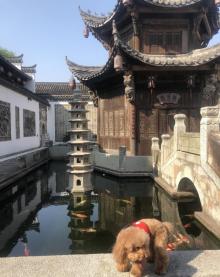 溧水周园29