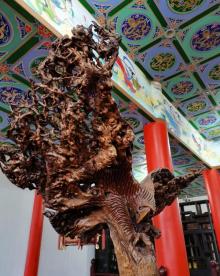溧水周园19