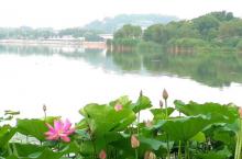 蠡湖公园9