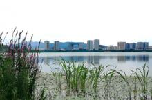 蠡湖公园7