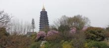 天宁宝塔15