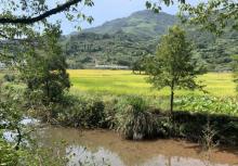 俞源太极星象村19