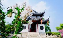 罗星洲20