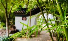 罗星洲21