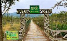 神马农场18