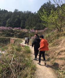 桃花坞15