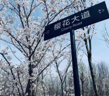 湖畔花语景区10