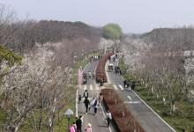 湖畔花语景区7