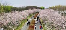 湖畔花语景区3