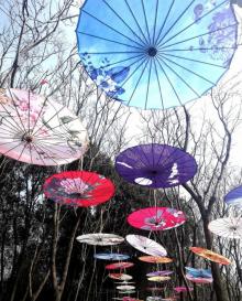 湖畔花语景区8