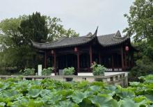 曾赵园23