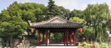 曾赵园27