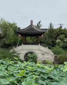曾赵园21