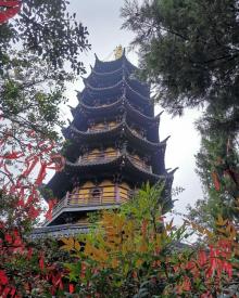 灵岩山寺8