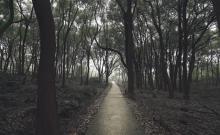 滨江要塞旅游区1