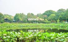 滨江要塞旅游区2