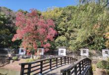 滨江要塞旅游区4