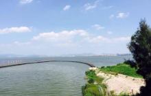 玉环漩门湾湿地公园18