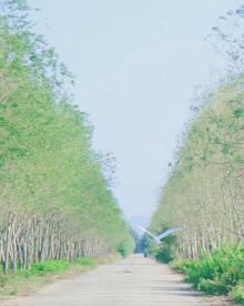 玉环漩门湾湿地公园15