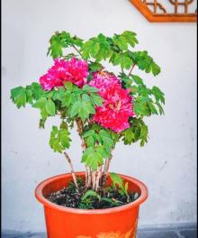 小娄巷8