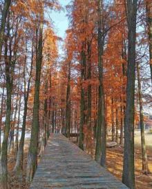 兰湖旅游度假区11