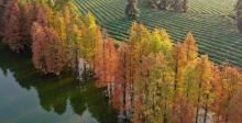 兰湖旅游度假区3