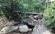 东天目山景区6