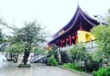 东天目山景区17