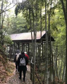 东天目山景区13