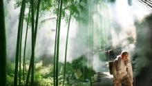 东天目山景区8