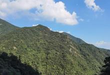 东天目山景区22