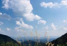 东天目山景区20