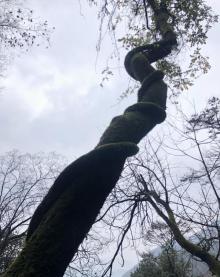 东天目山景区14