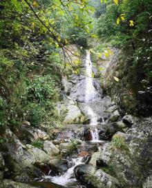 东天目山景区29