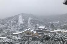 树山生态村6