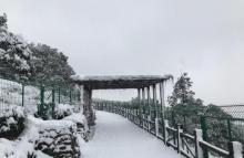 树山生态村7