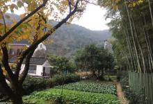 树山生态村1
