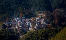 西坑村1