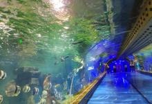 金华万泰海立方海洋公园3