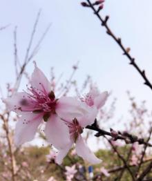 景山公园13