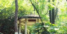 景山公园1