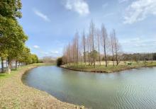 西沙明珠湖景区30