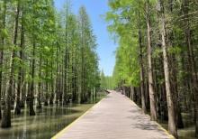 西沙明珠湖景区8