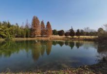 西沙明珠湖景区15