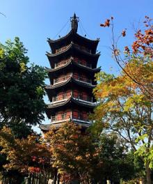 隆山公园14