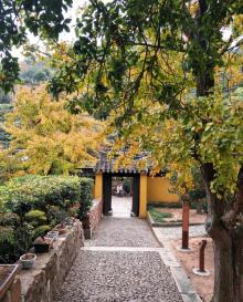 紫金庵9
