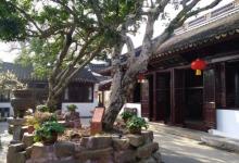 紫金庵20