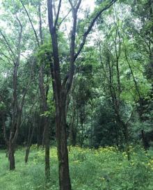东西岩景区16